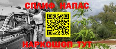 гидра Гусь-Хрустальный