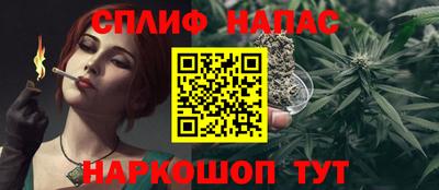 apvp Гусев